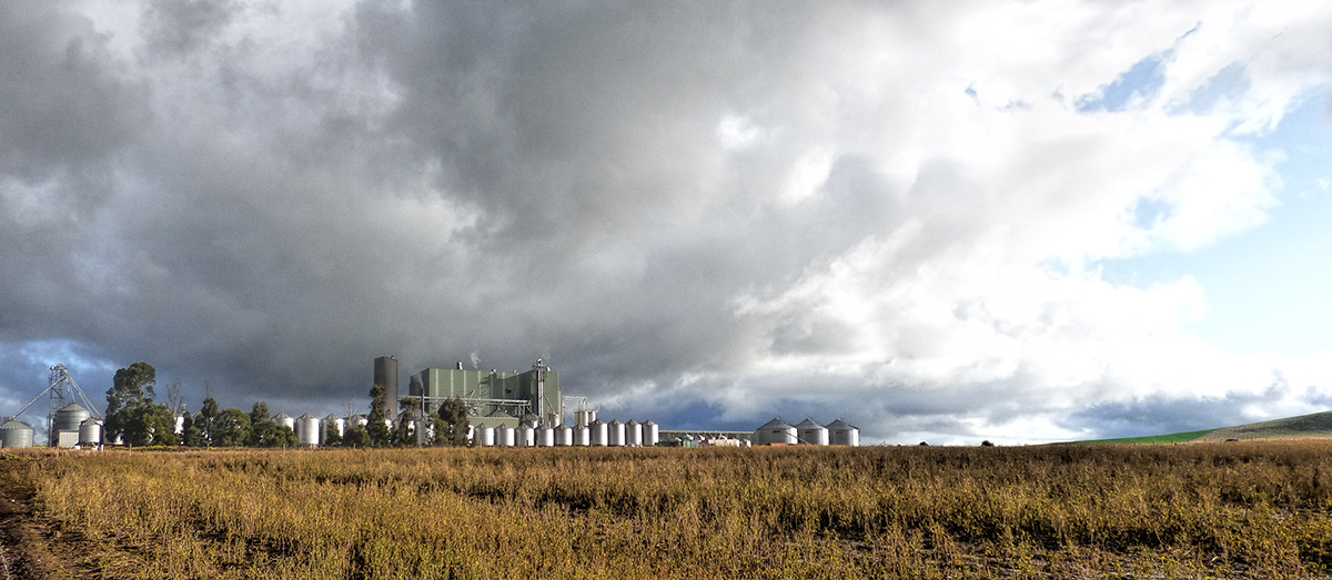 Silos and Mill