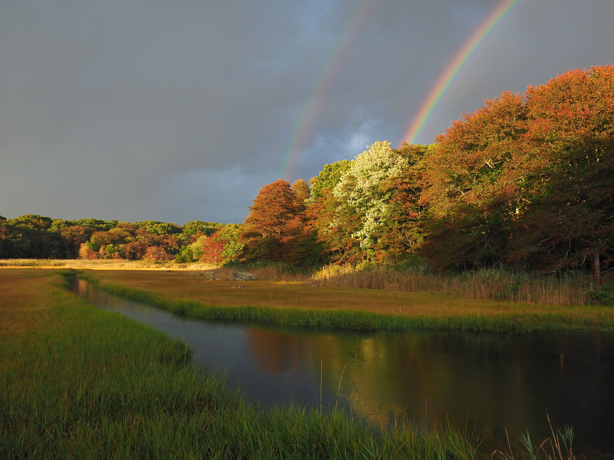 Signs of Fall