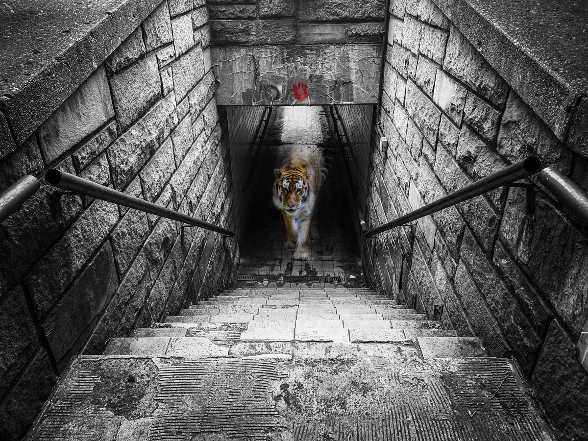 Coliseum Dream
