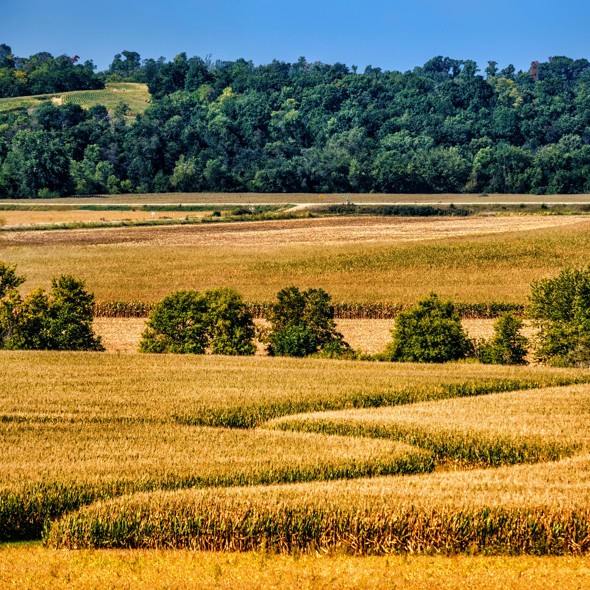 Autumn in the Midwest