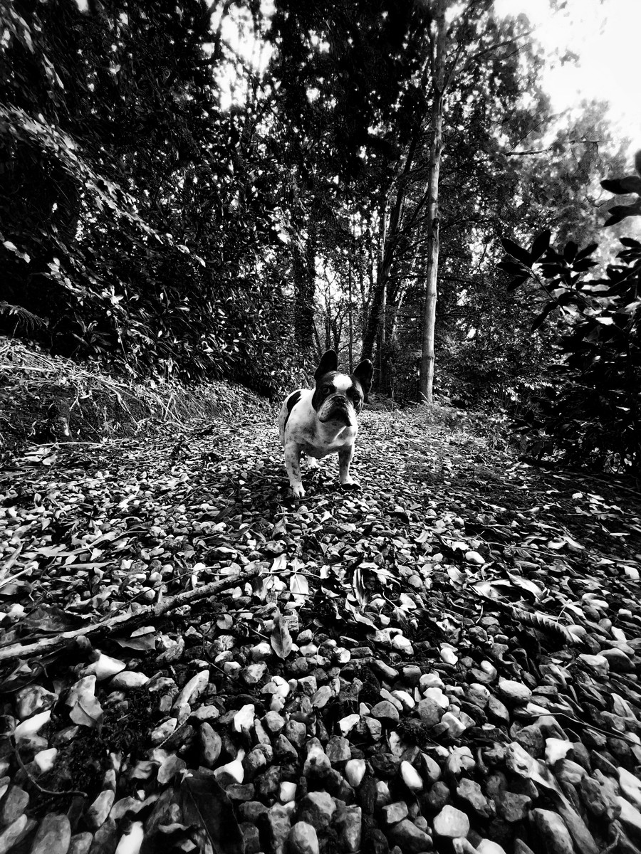 Leading her up the garden path