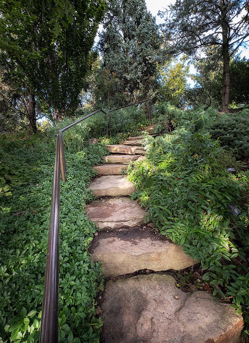 Up into the garden