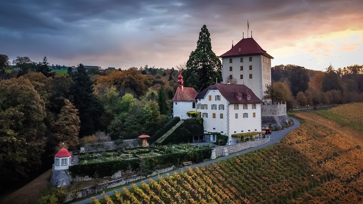 Schloss Heidegg
