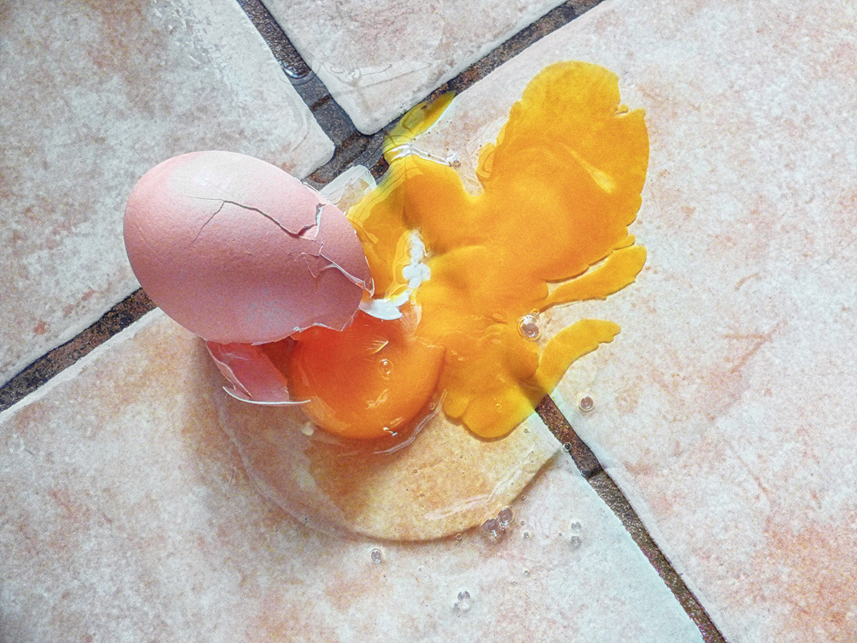 No Omelette.