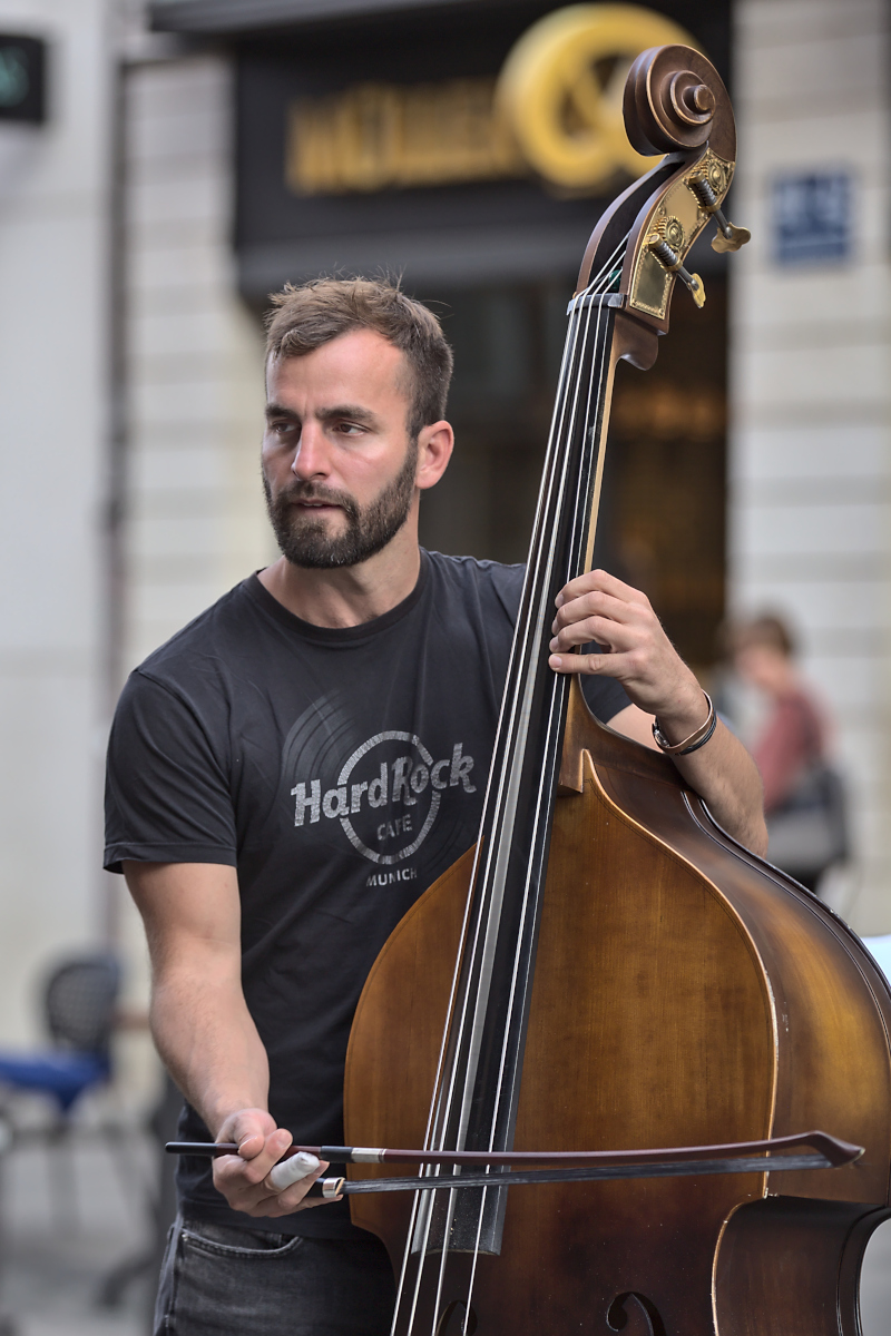 Double Bass Player