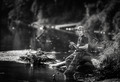 Gone Fishing