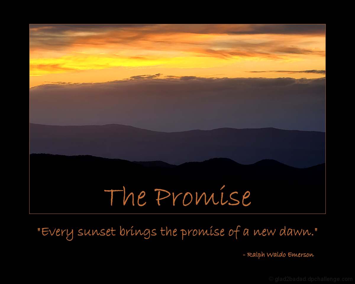 The Promise