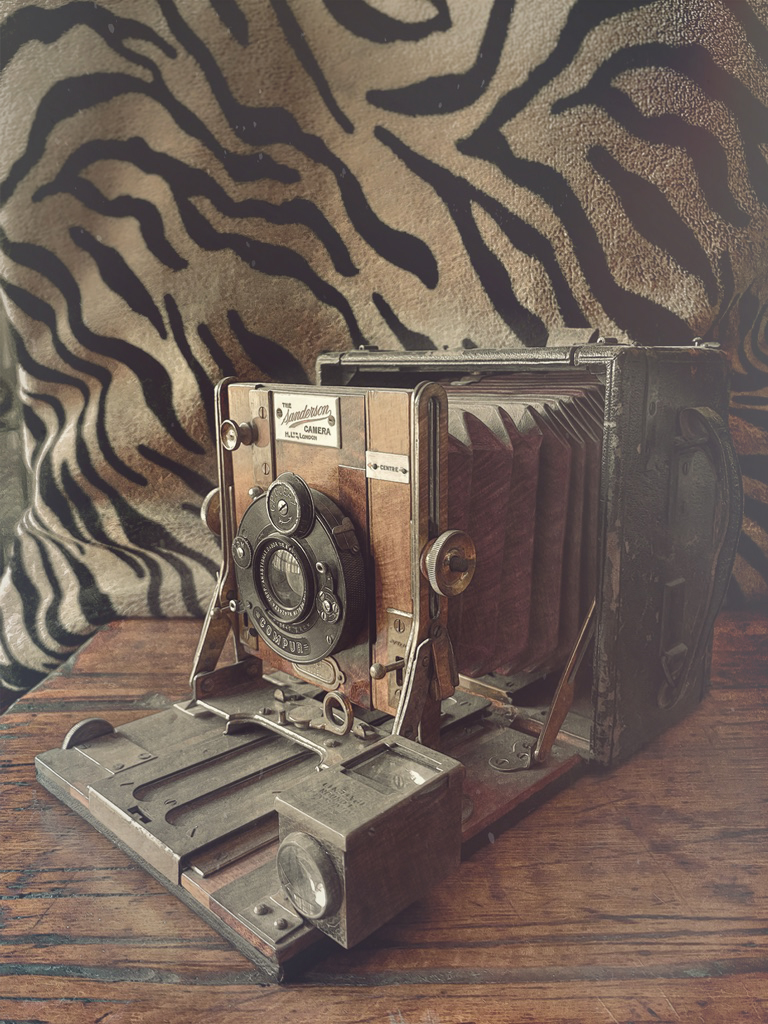 Shooting tigers with the Sanderson 