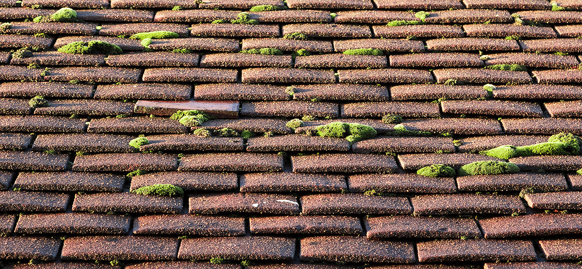 Up On The Roof