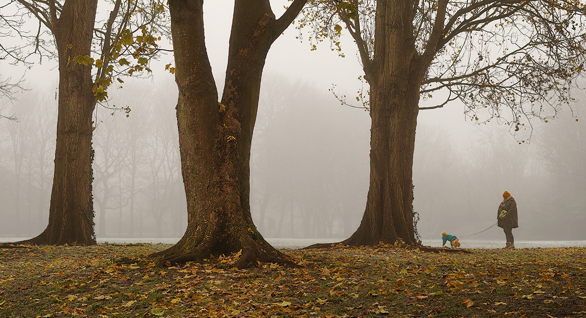 Mist Trees