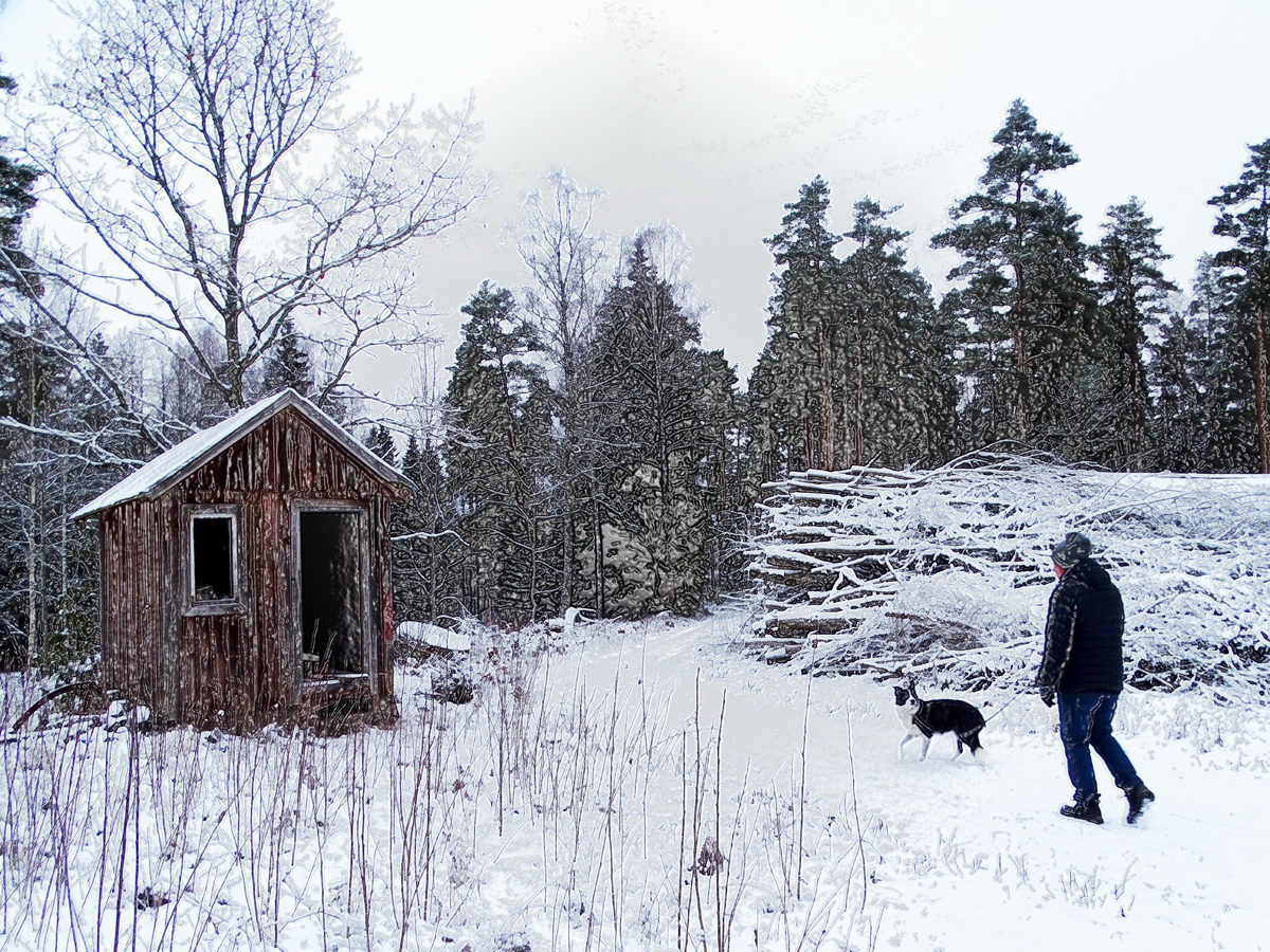 Let it Snow Let it Snow Let it Snow