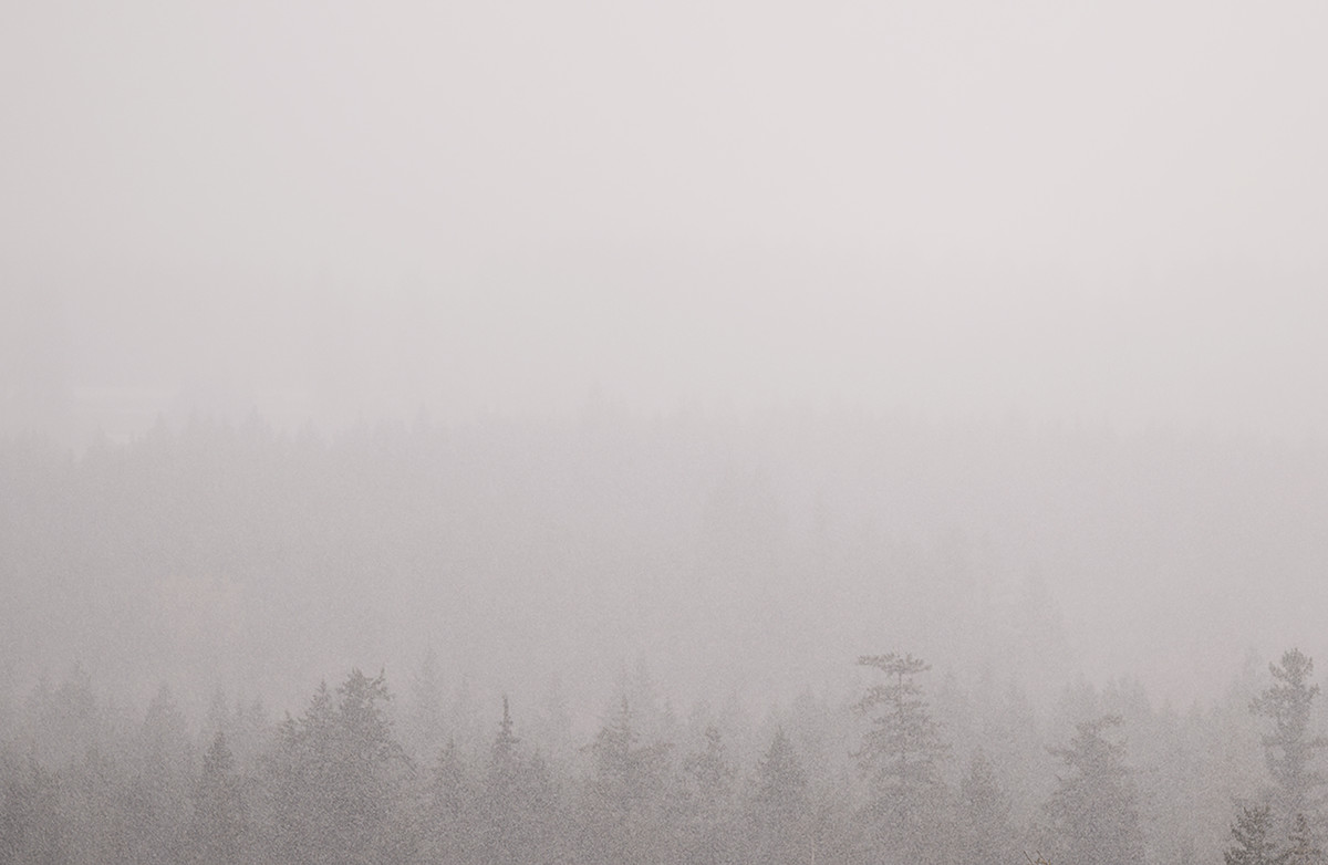Sky Fall