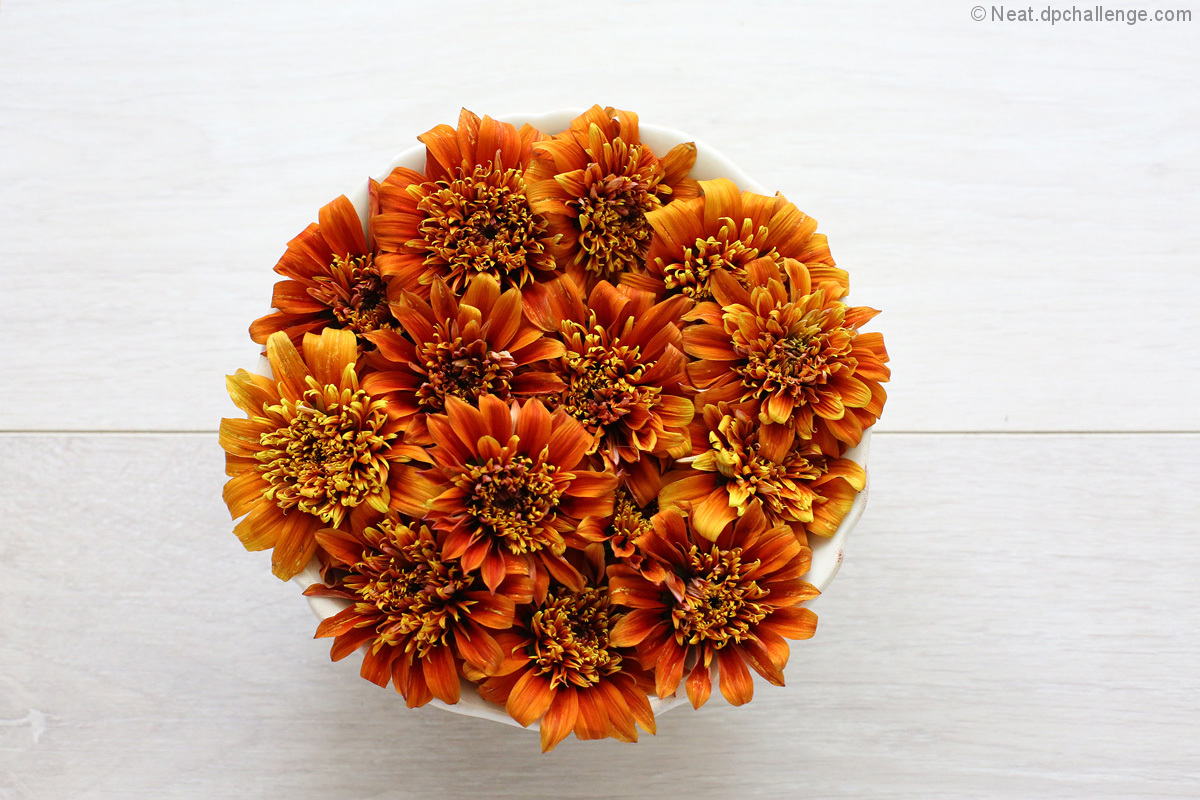 Bowl of flowers