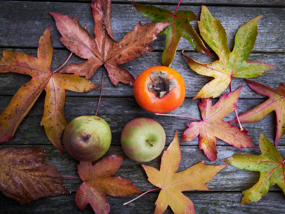 Fruit and Foliage