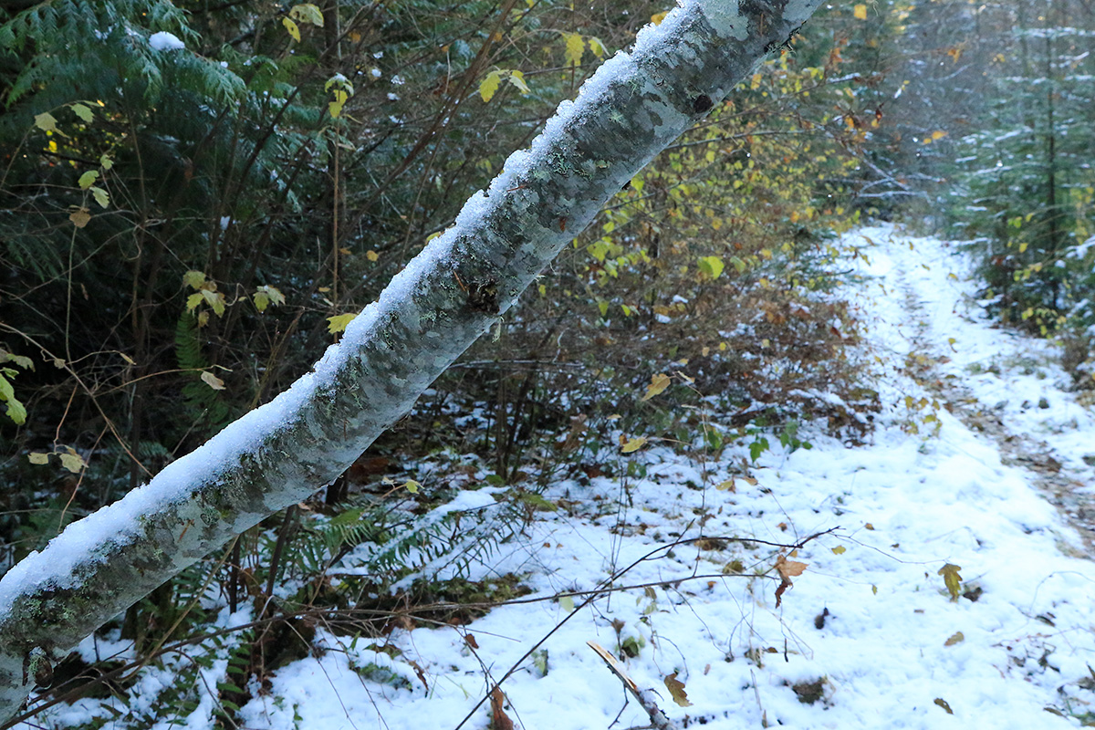 Fall Hikes Under Appreciated