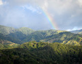Monteverde Rainbow