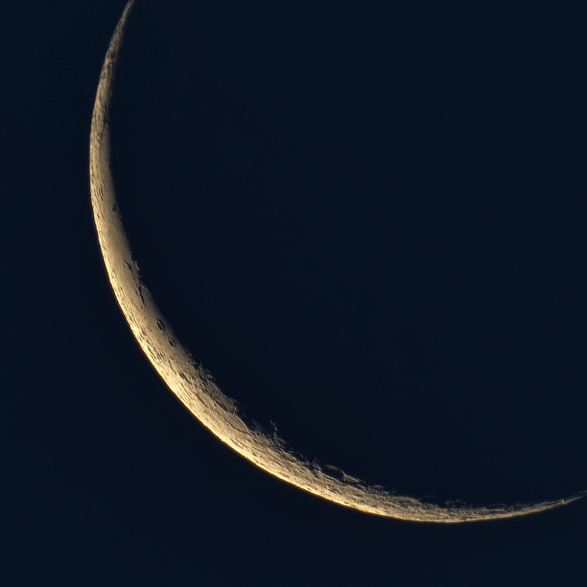 Sliver