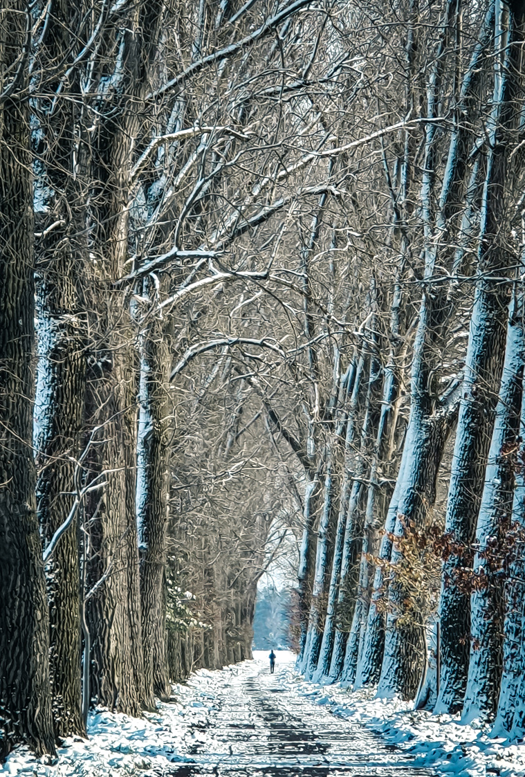 winter walk
