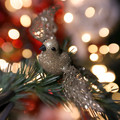 Little bird among the lights