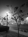 A Foggy Memory 