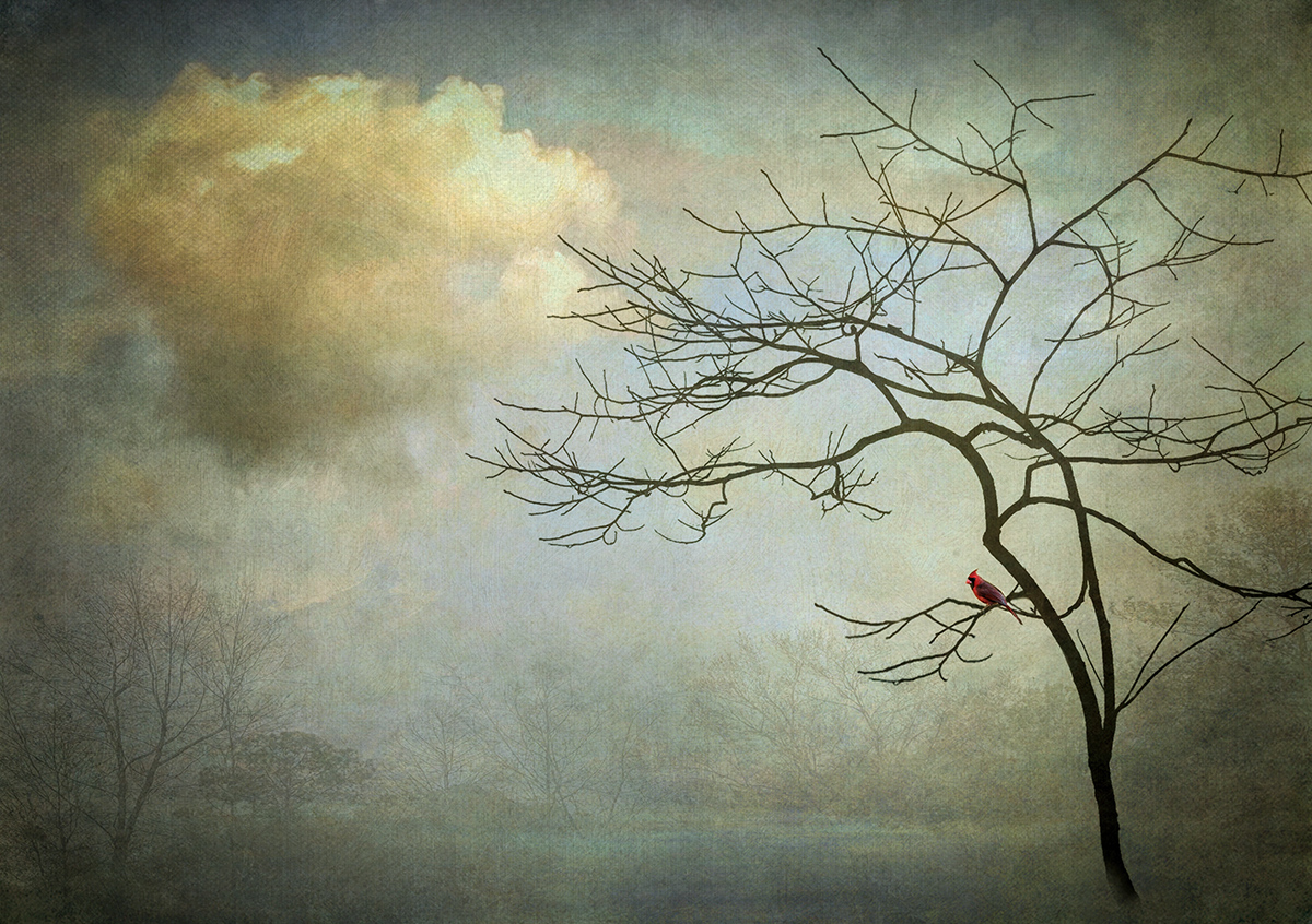 Waiting For Spring