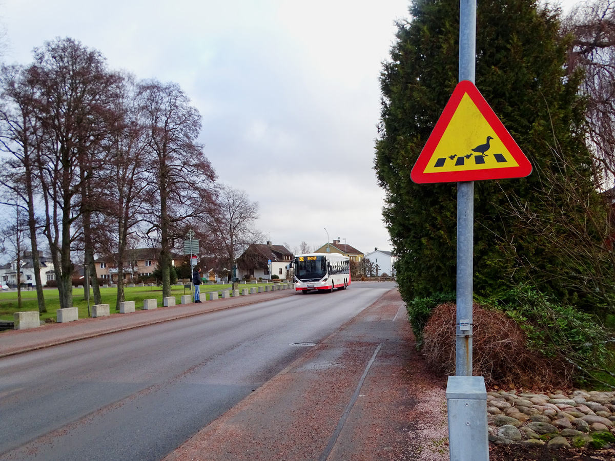 Warning for Geese with Goslings