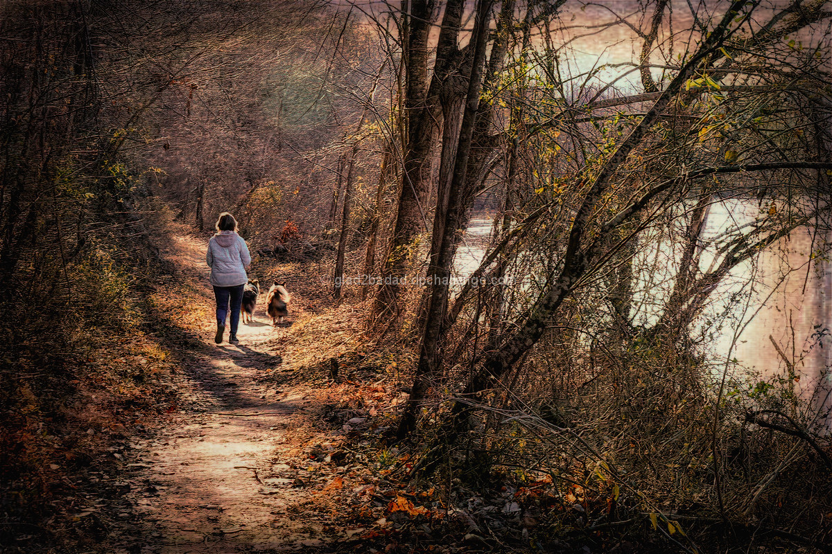 Afternoon Stroll
