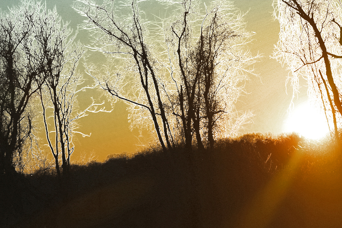 light leaks