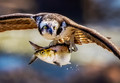 Take Out
