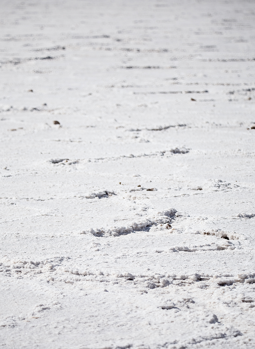 Salt Flats