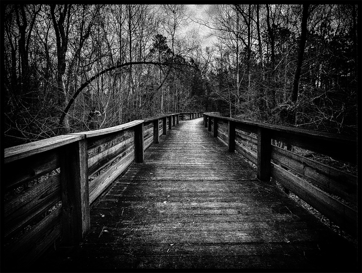 The Road Less Travelled Isn't Always the Best