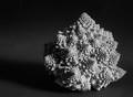 Fractal Romanesco