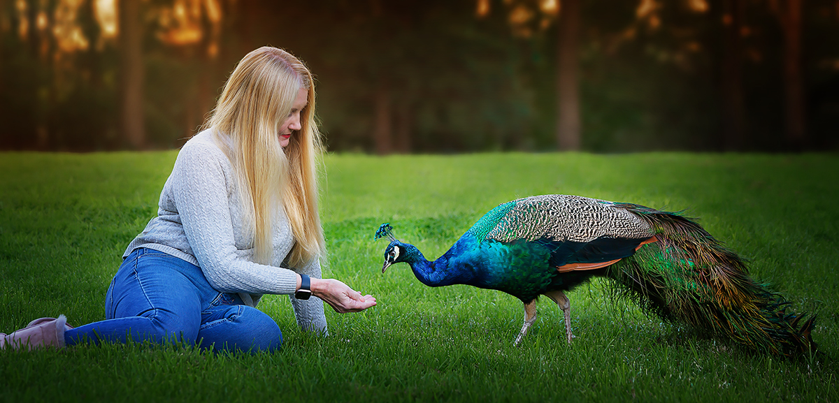 Teresa and the Peacock