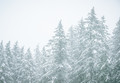 One Person’s ‘Crummy’ Is Another Person’s Idyllic 