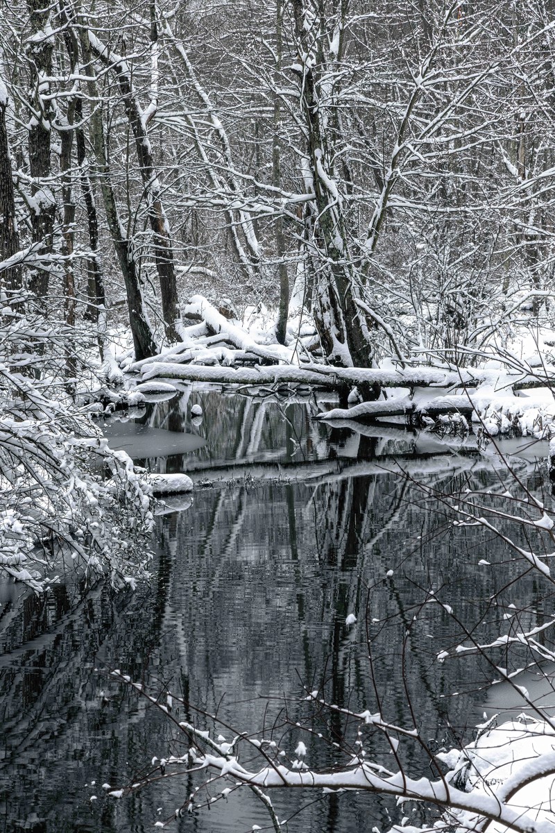 Reflection of Winters Wrath