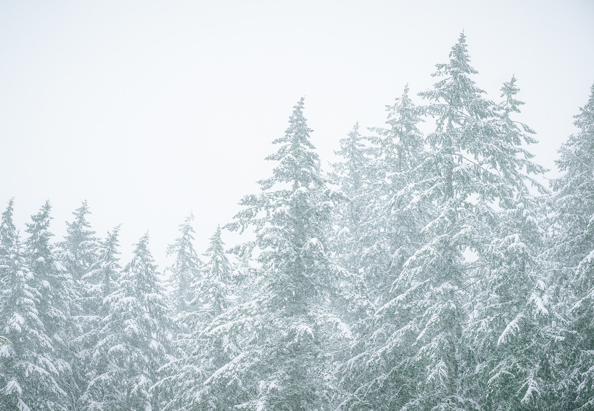 One Person’s ‘Crummy’ Is Another Person’s Idyllic 