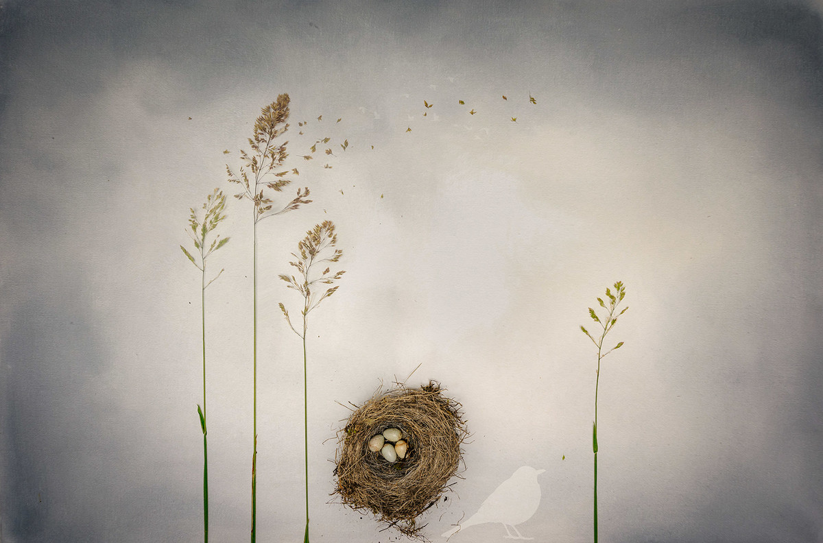 Fragility