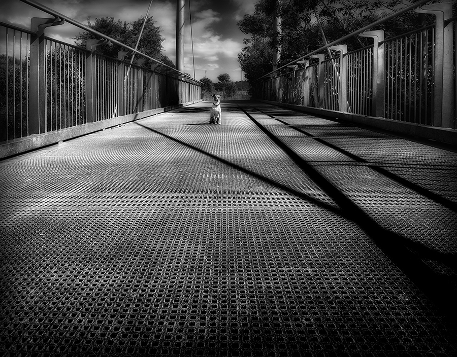 The Bridge