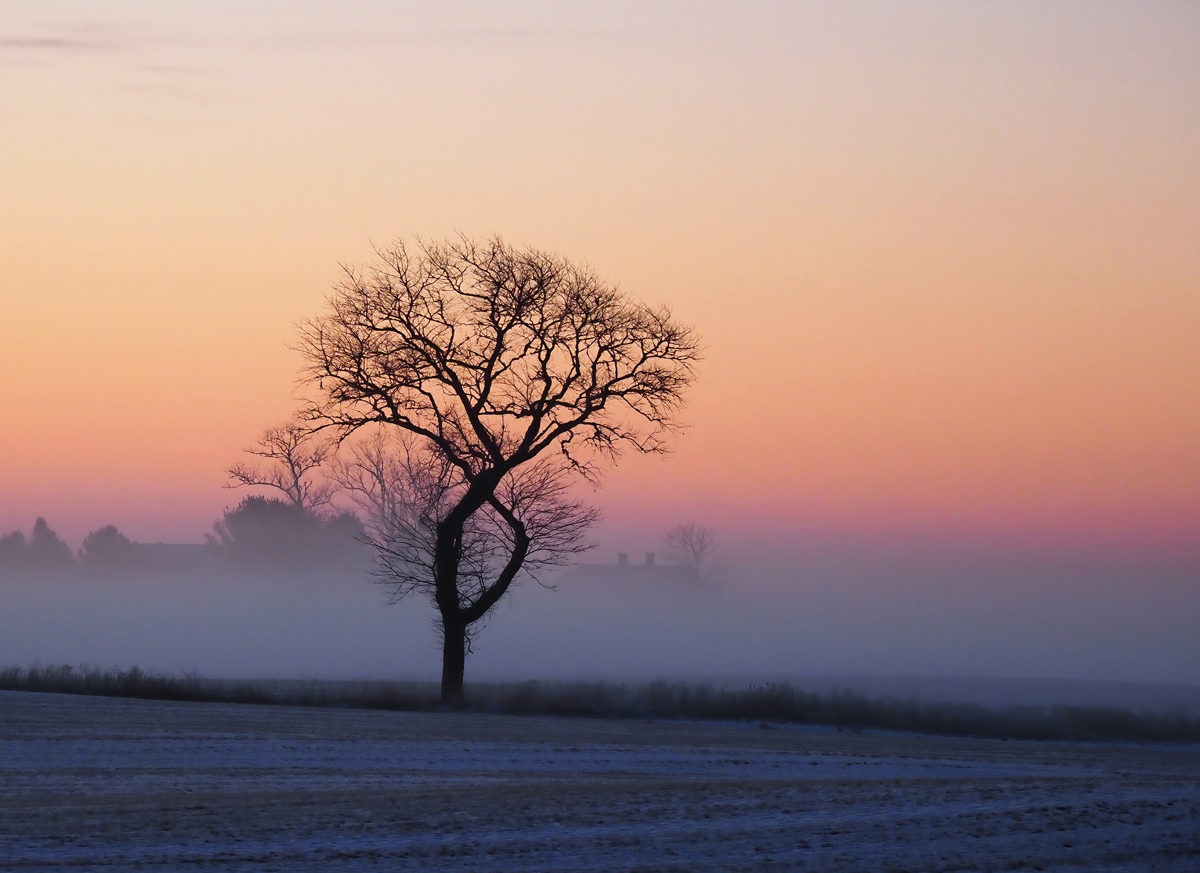 Dawn