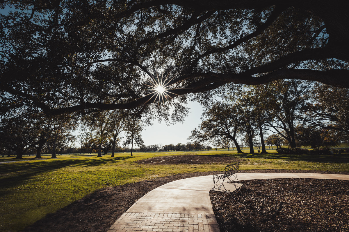 Paths and Branches