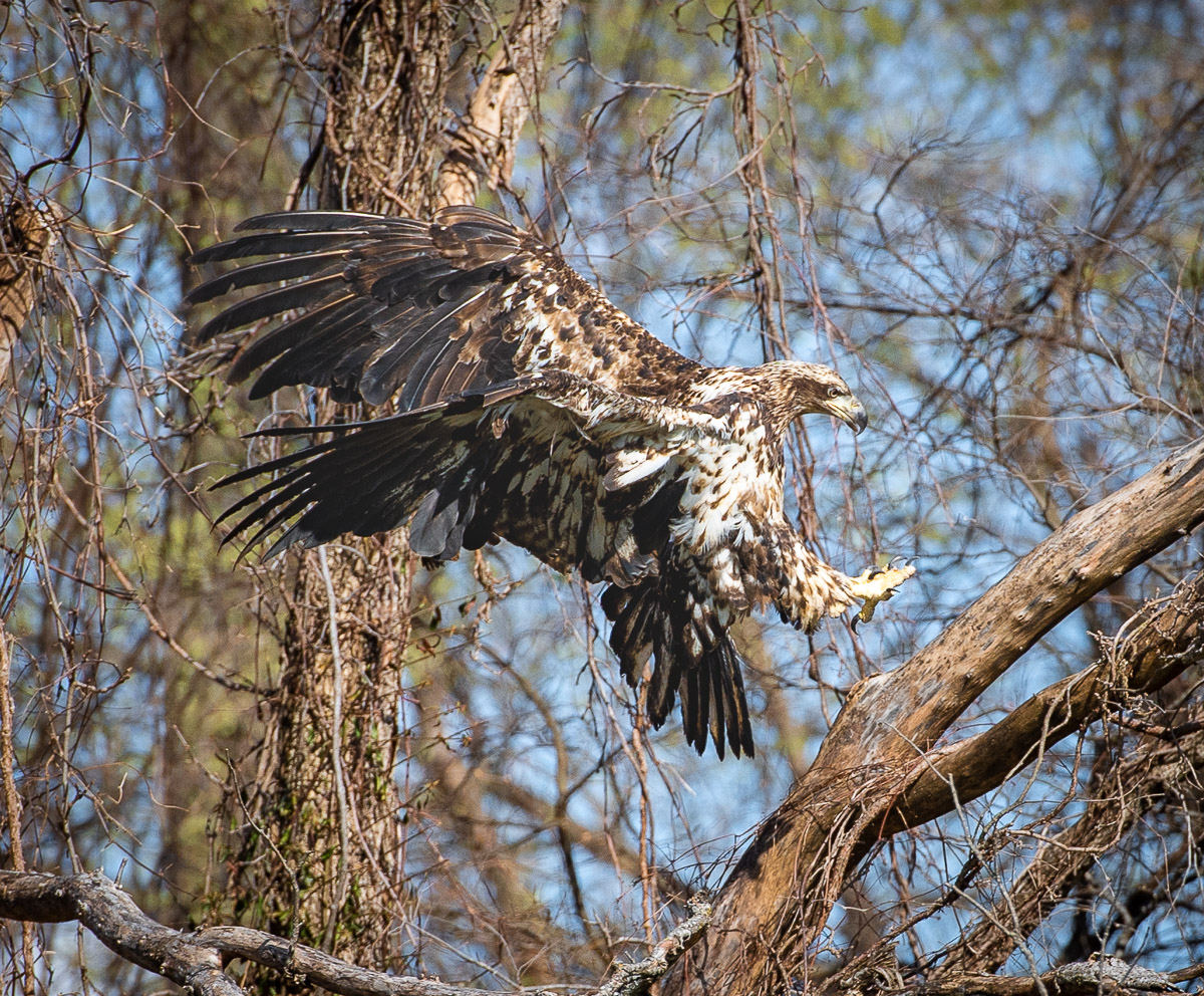 Sticking the Landing!