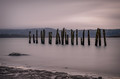 Decaying Pilings