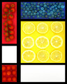 Fruit Still Life a la Mondrian
