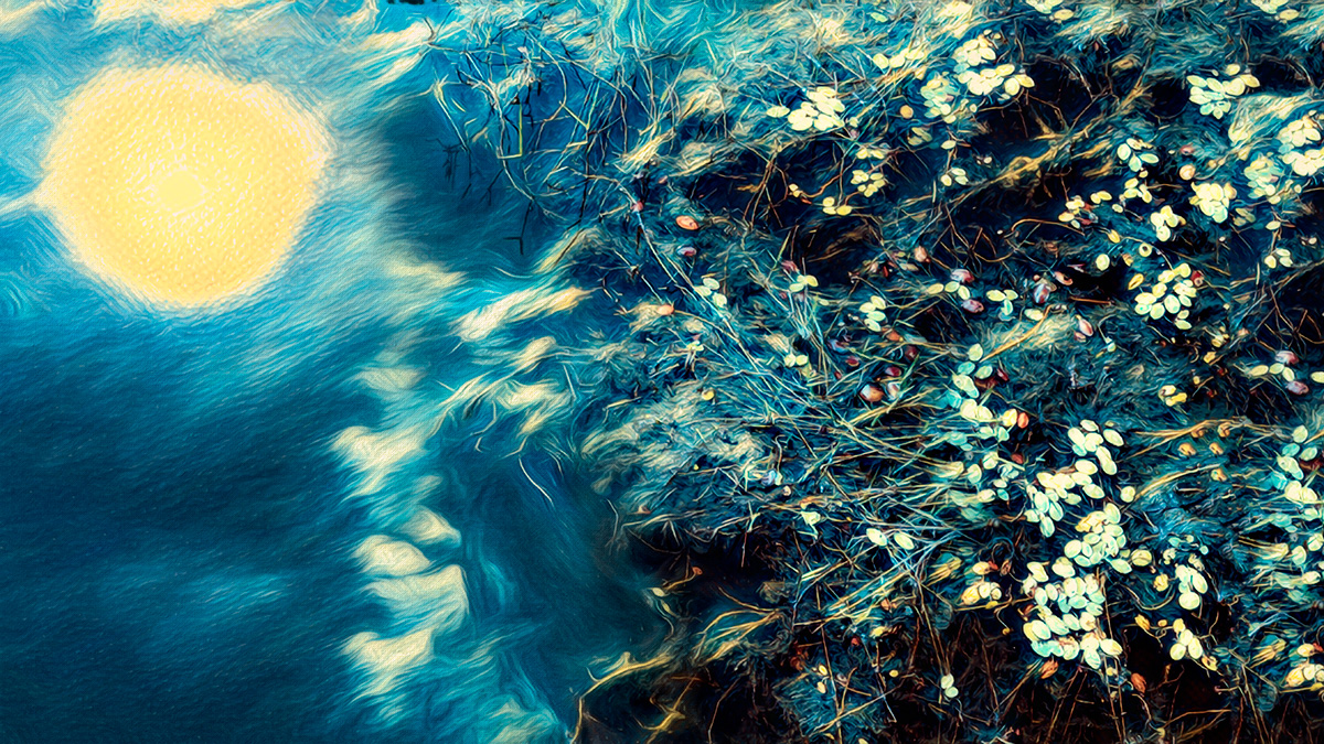 Through Van Gogh Eyes