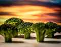 Magical Broccoli Forest