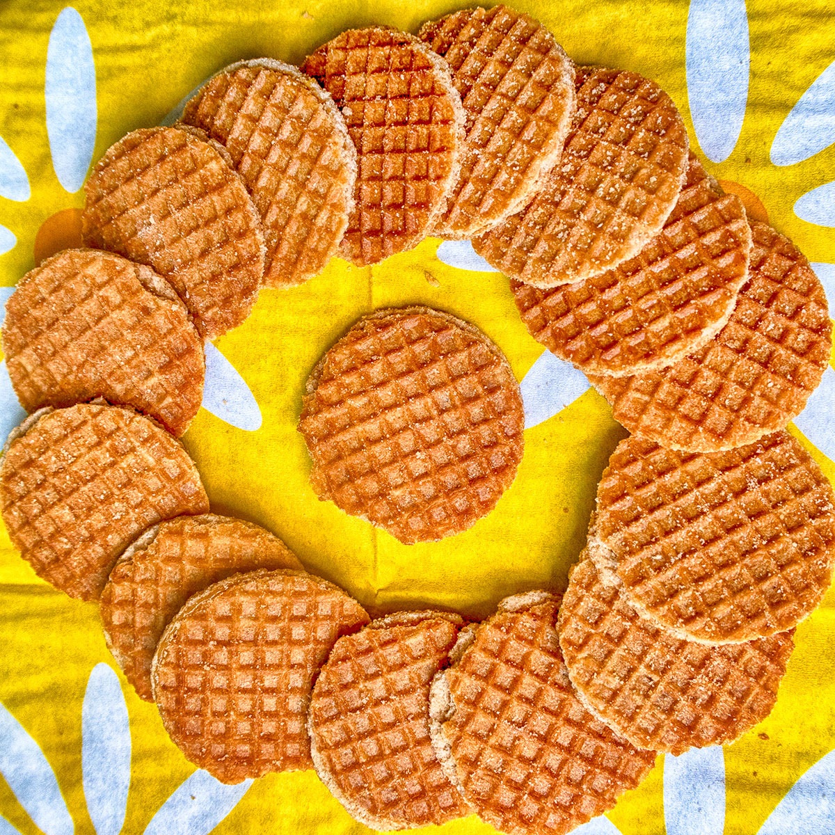 Circulair, cookies, crumbs