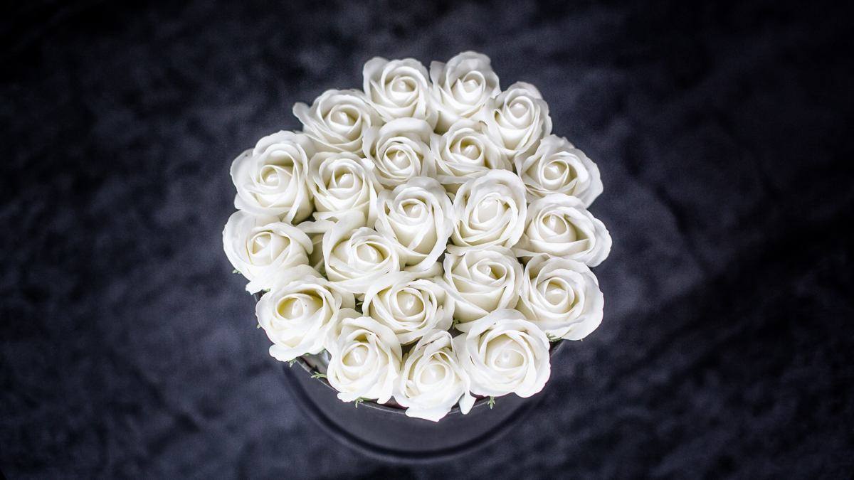 White roses circle