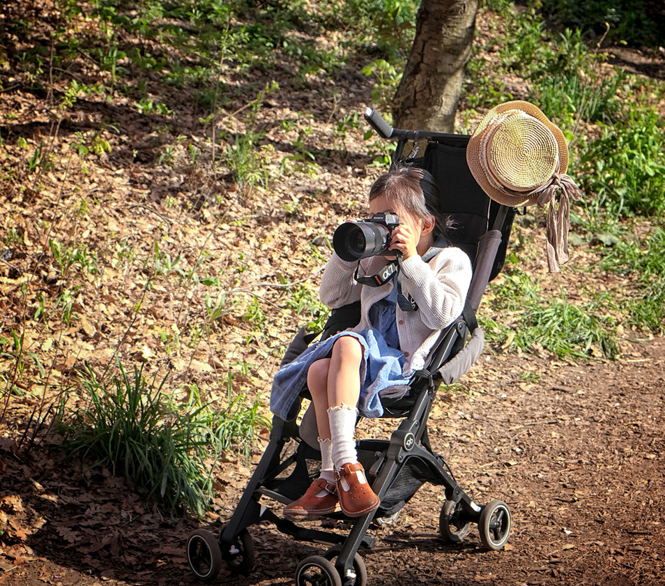 The casual photographer