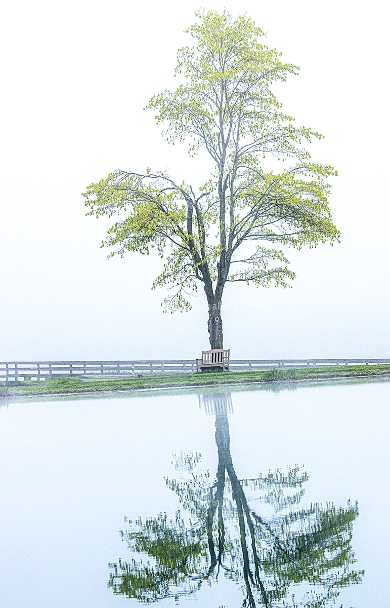 A Place For Peaceful Contemplation