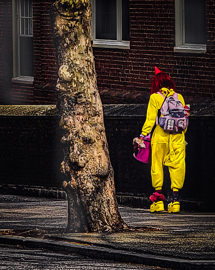 Clown at Brown